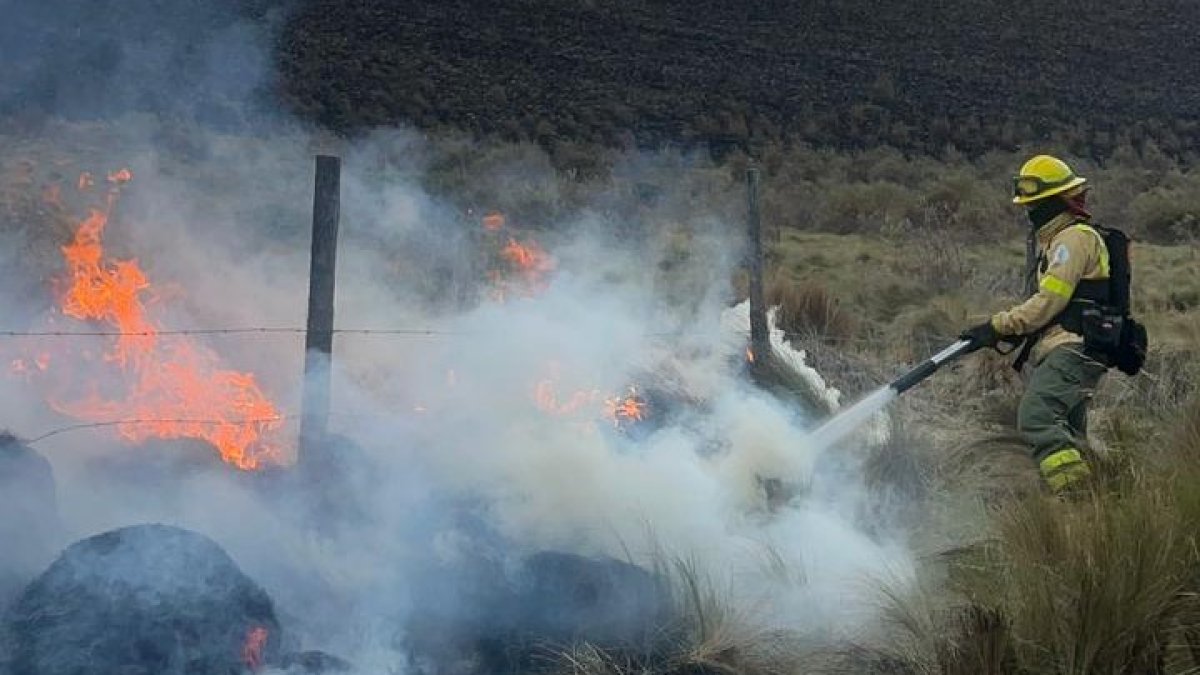 65 bomberos y guardapáramos del Fonag ayudaron a controlar el incendio forestal en el Antisana, que se inició la tarde del lunes 28 de octubre de 2024.