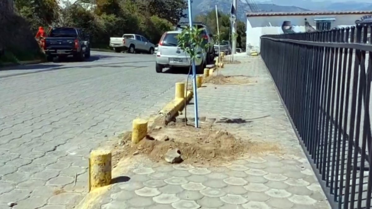 Este proyecto comenzó con los trabajos previos para la siembra de los primeros árboles en Puembo