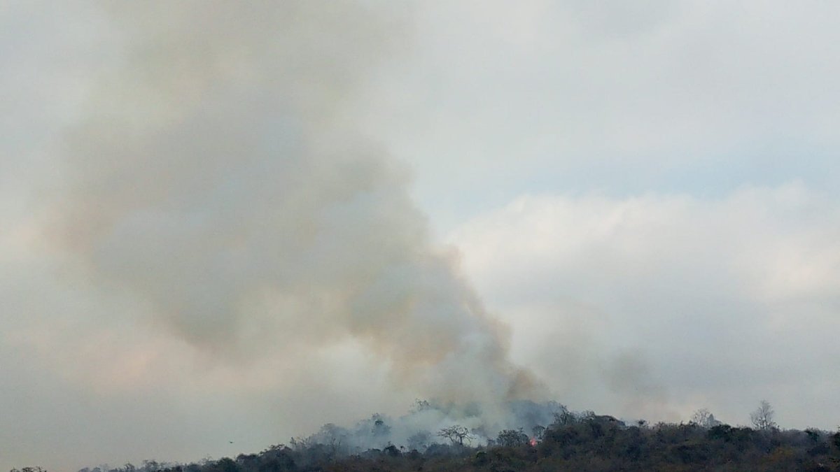 Un incendio forestal en el cerro San Francisco, en la vía a Daule, se registra la tarde de este viernes 1 de noviembre.