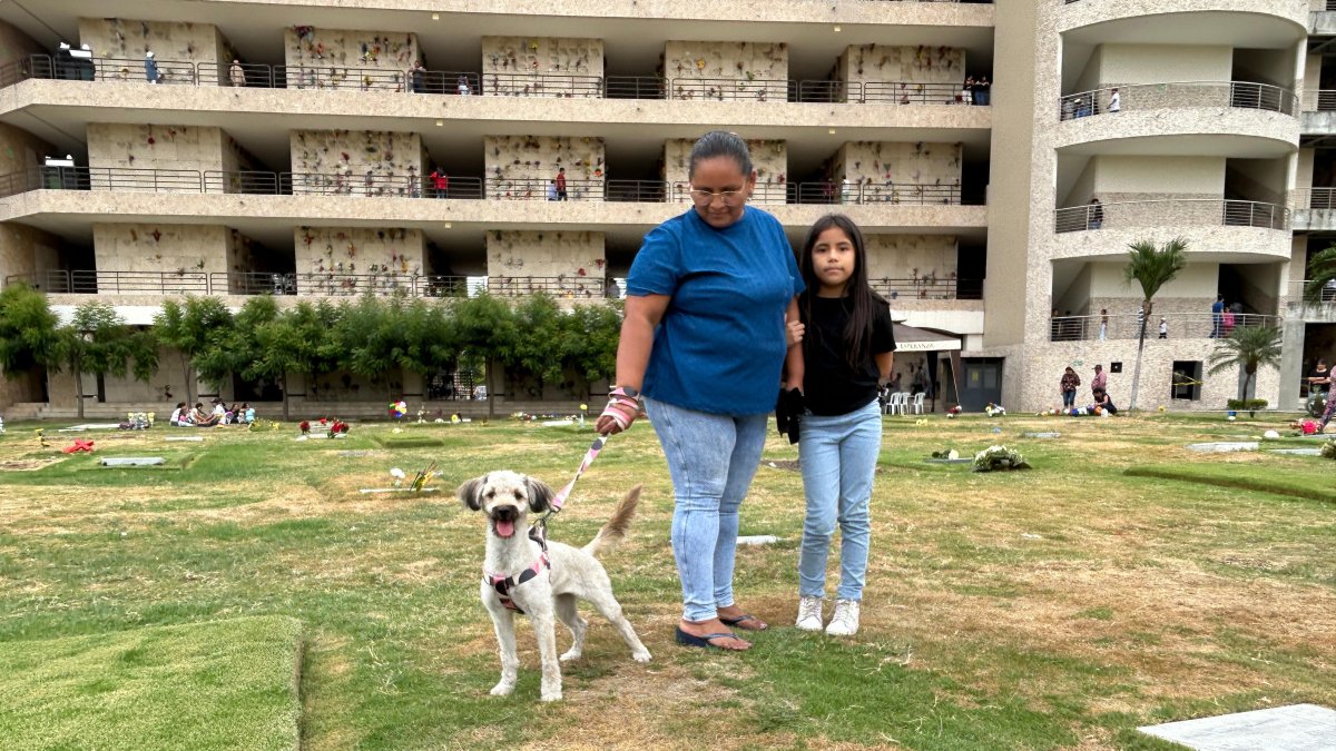 Millie disfrutaba de pasear en el césped del camposanto