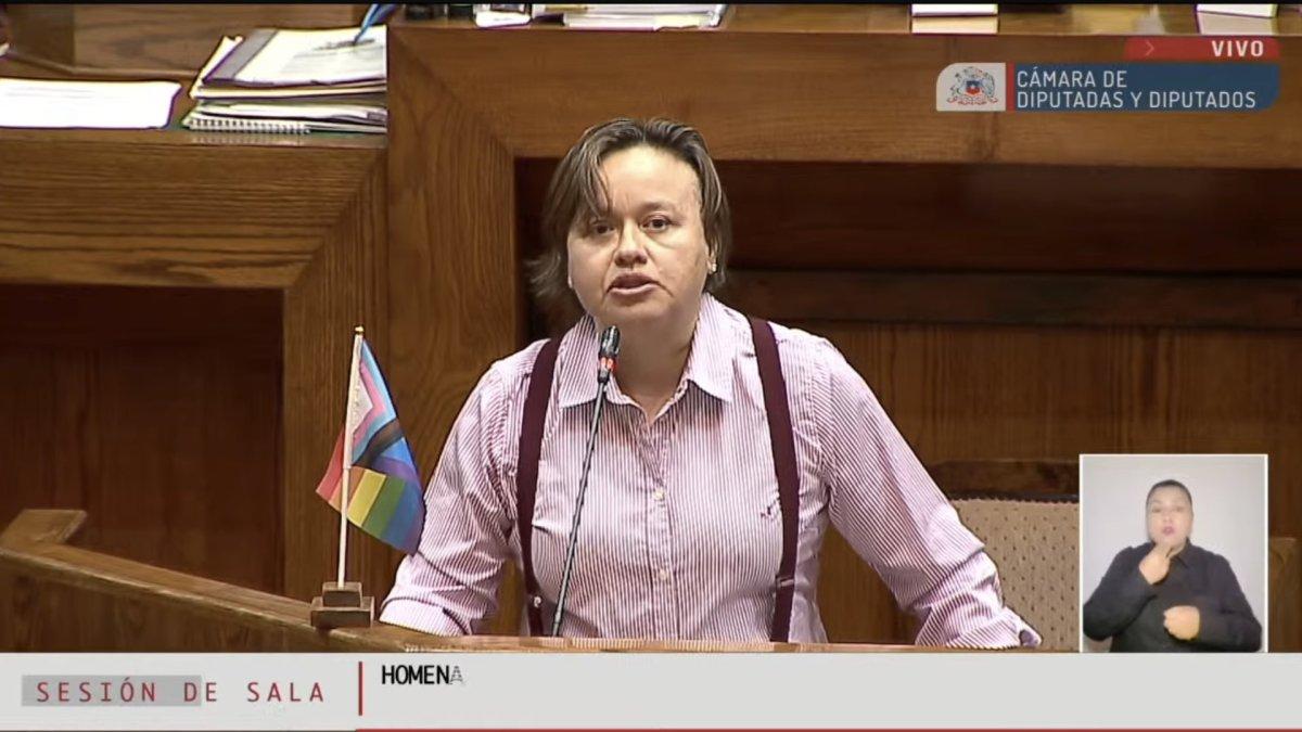 La diputada por la región de O'Higgins, Marcela Riquelme.