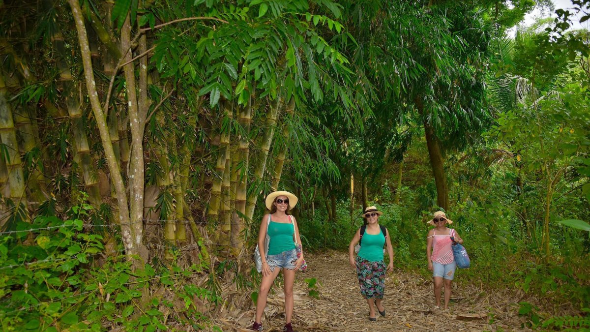 Turismo. El lugar es frecuentado por turistas nacionales y extranjeros.