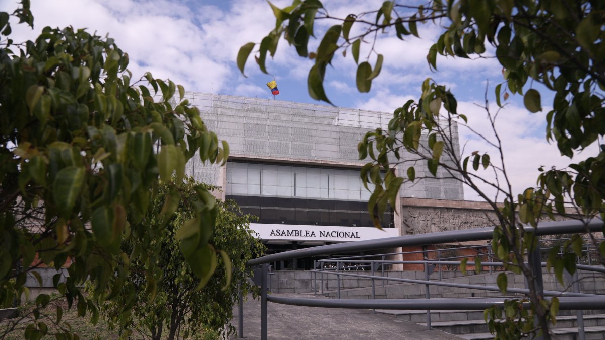 Analistas sostiene que una asamblea constituyente no es necesaria, sino una reforma política impulsada dessde la Asamblea Nacional.