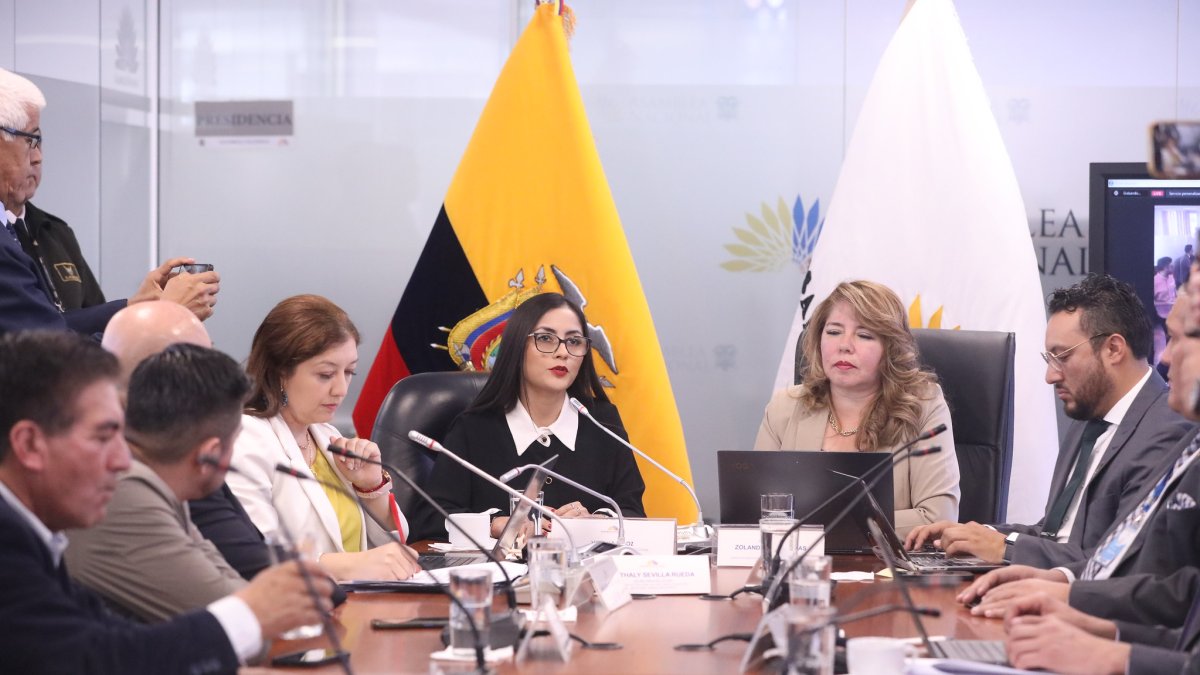 La presidenta correísta de la Asamblea, Viviana Veloz, es la proponente del proyecto.