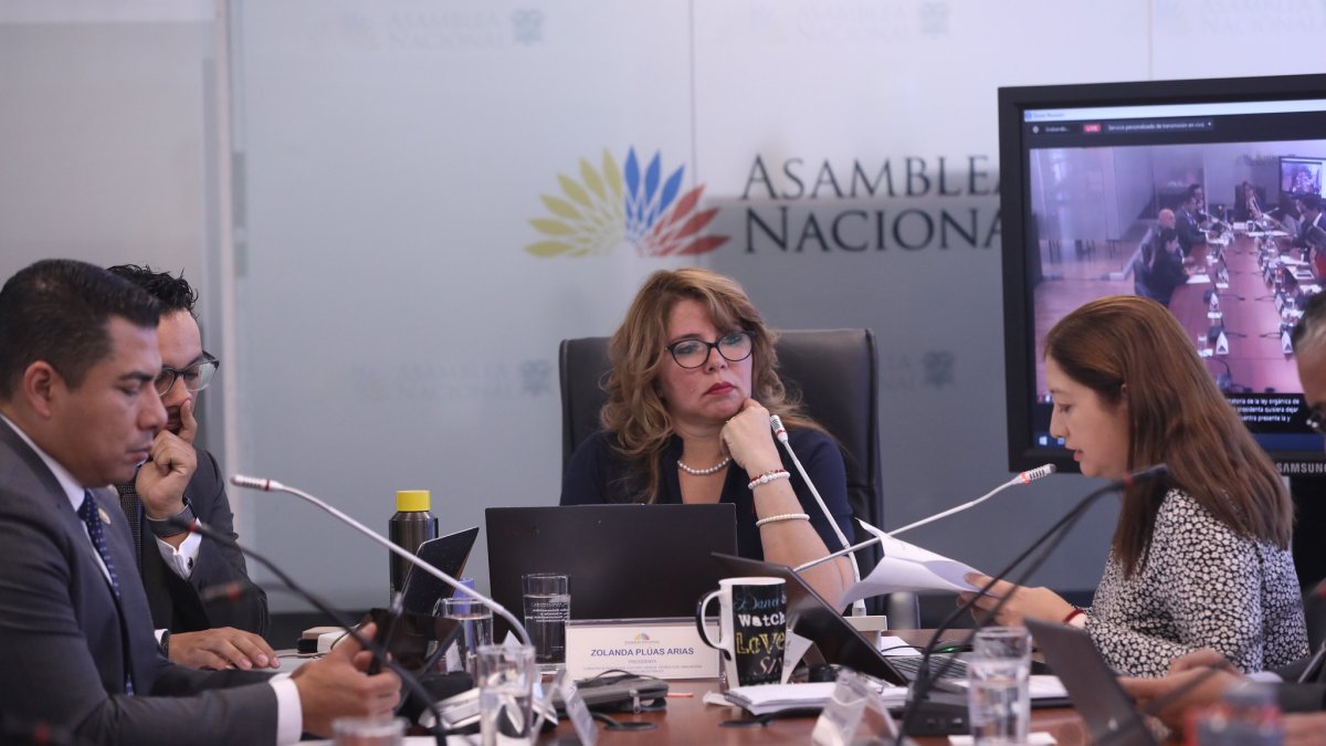 Zolanda Plúas preside la Comisión de Educación.