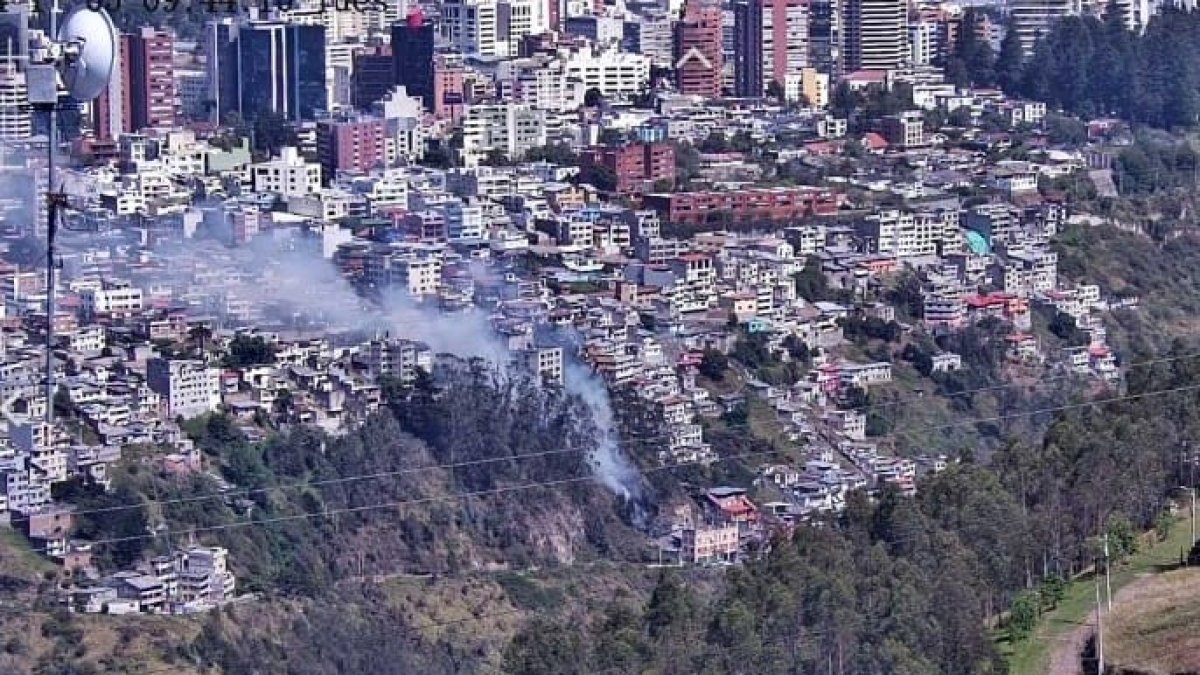 A las 09:30 de este martes 5 de noviembre se reportó al 9-1-1 un incendio forestal en la Avenida Simón Bolívar y Los Conquistadores