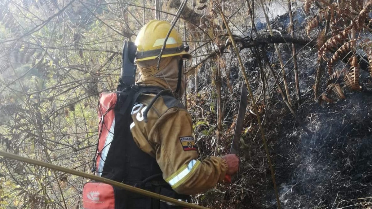 El cuerpo sin vida quedo en medio de la vegetación quemada.