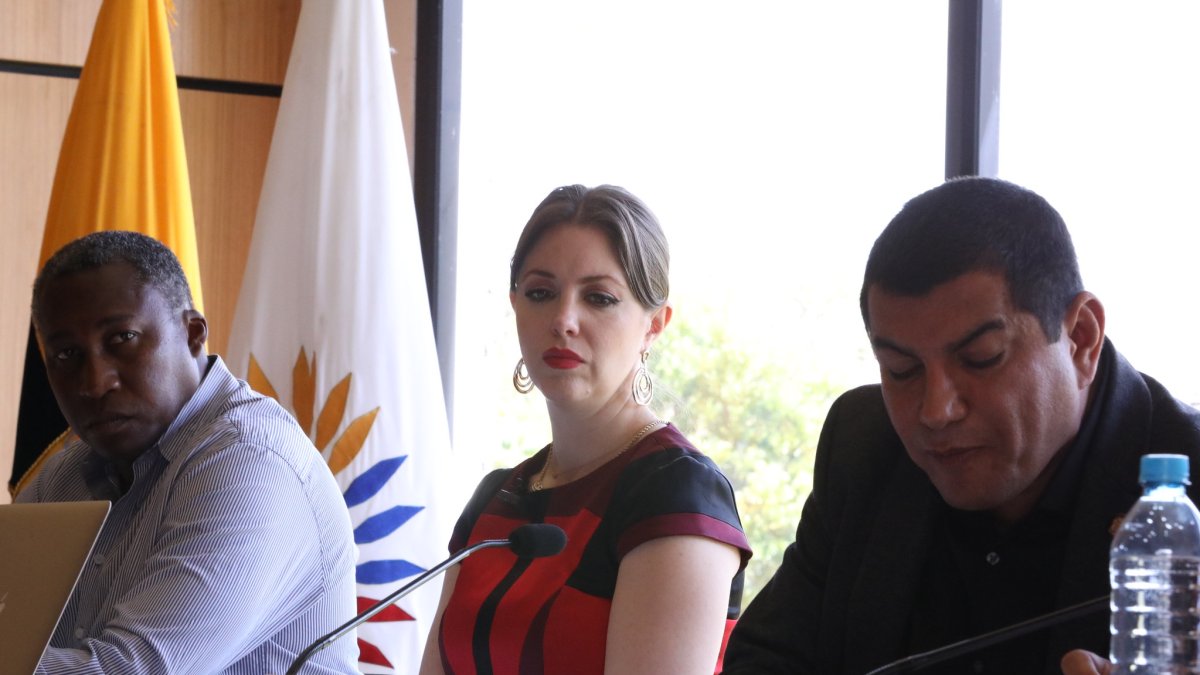 La asambleísta del correísmo, Mónica Palacios.