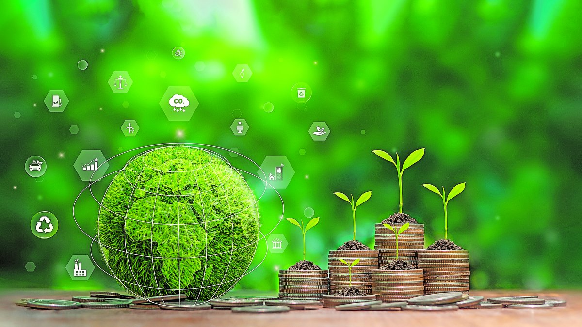 Ecología. Una foto referencial de cómo el mercado del carbono puede generar dinero.