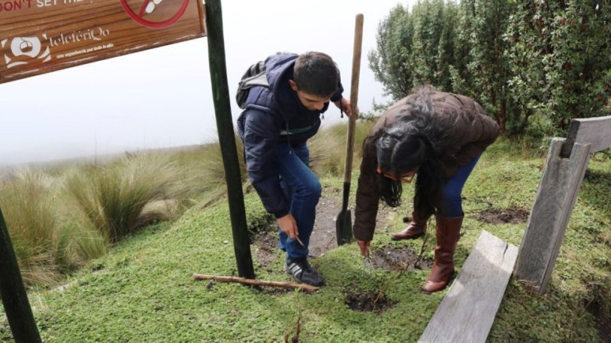 En Quito, desde junio de 2024 se registraron más de 800 incendios forestales.