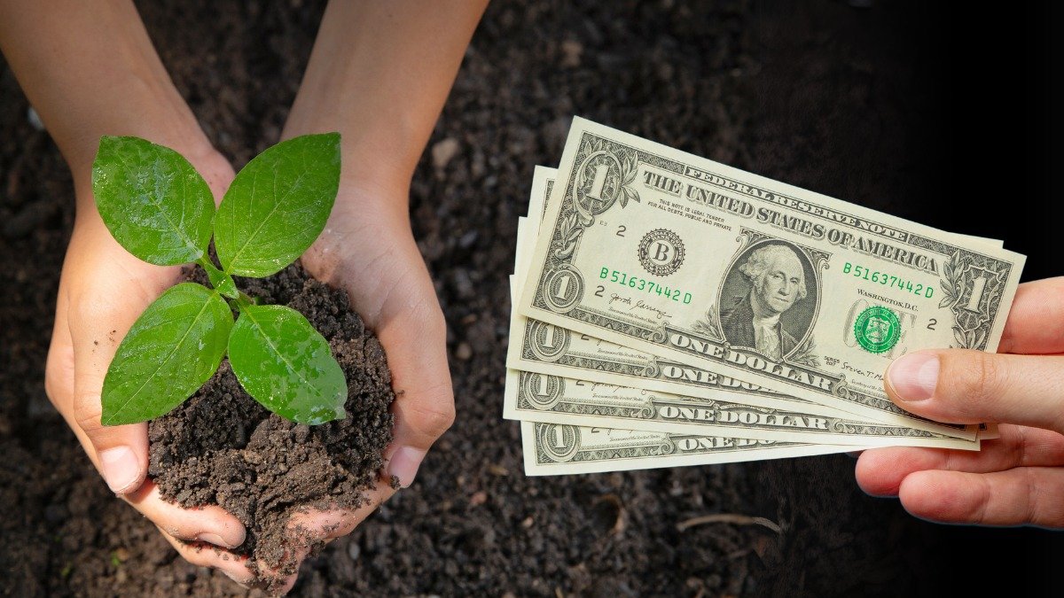 El pago será temporal. Solo por tres meses.