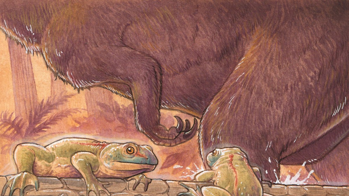 Recreación de renacuajos y adultos de 'Notobatrachus degiustoi' en una laguna del Jurásico Medio de Patagonia.  Imagen facilitada por Nature.