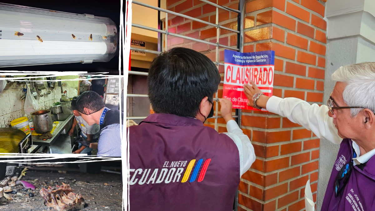 Plagas, moho e incorrecto almacenamiento de los alimentos, entre las causas de clausura.