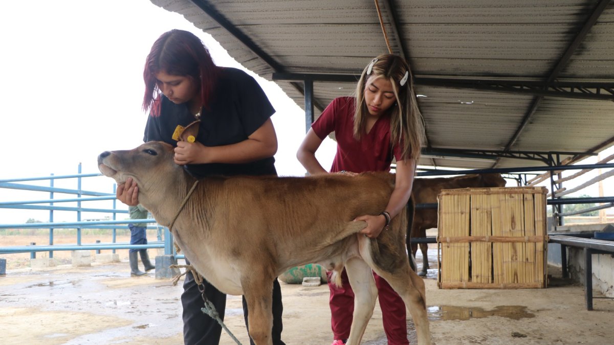 Estudios. Universitarios trabajan en proyectos de sostenibilidad y seguridad animal en haciendas protegidas.