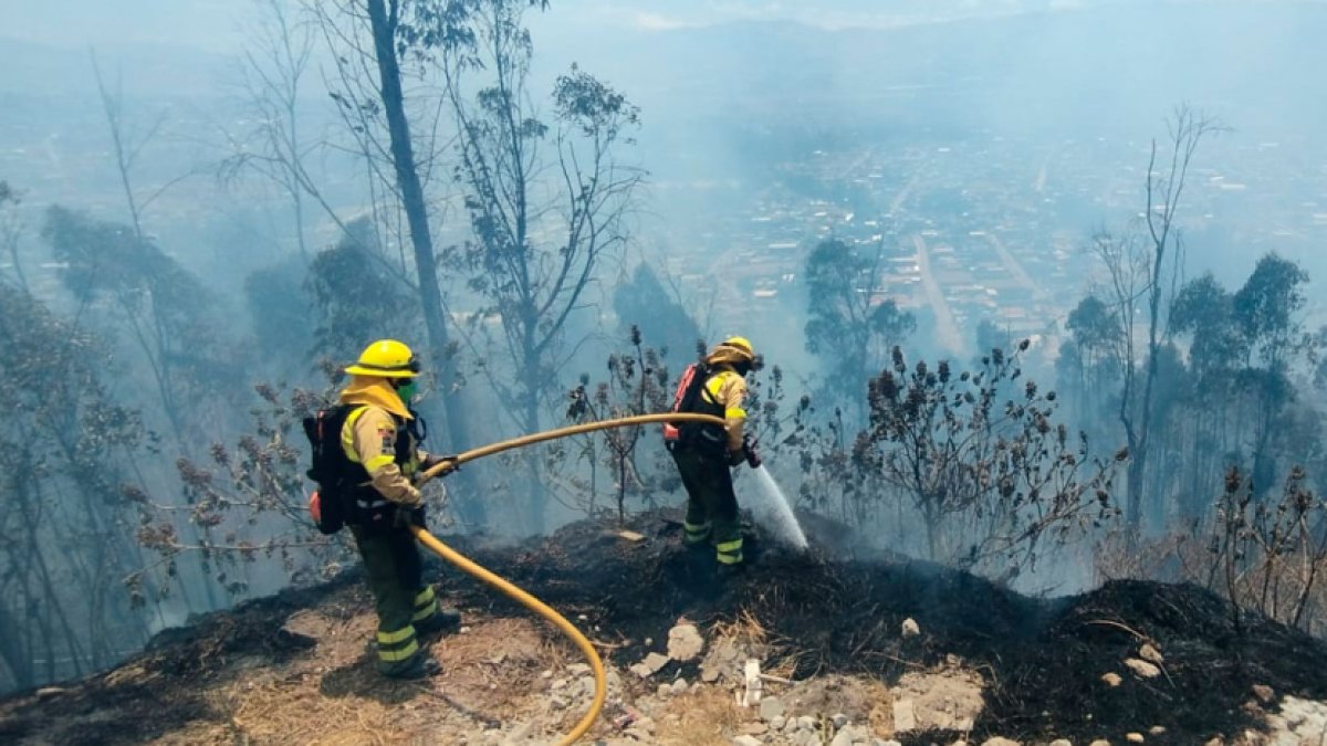 El 25 de septiembre de 2024 los bomberos sofocaron un incendio en la av. Eloy Alfaro y De las Palmeras, en El Inca.