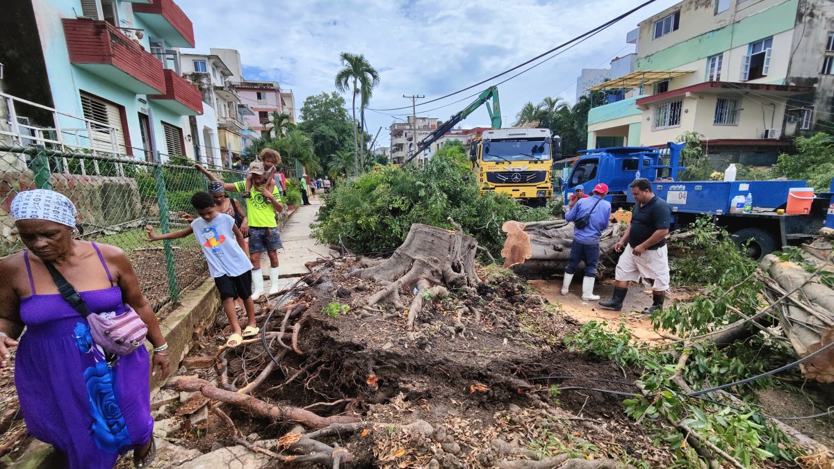 Árboles han sido desprendidos debido a las tormentas tropicales que azotan la isla.
