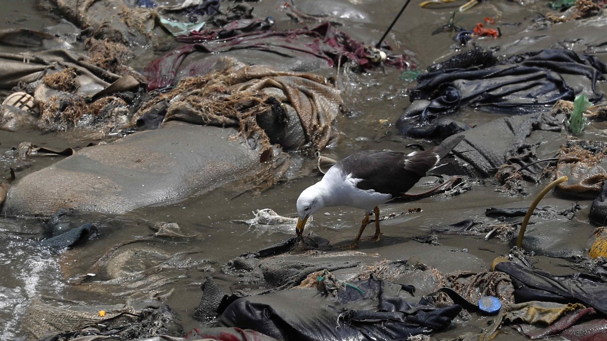 Efecto. La contaminación que ha provocado el petróleo en Perú.