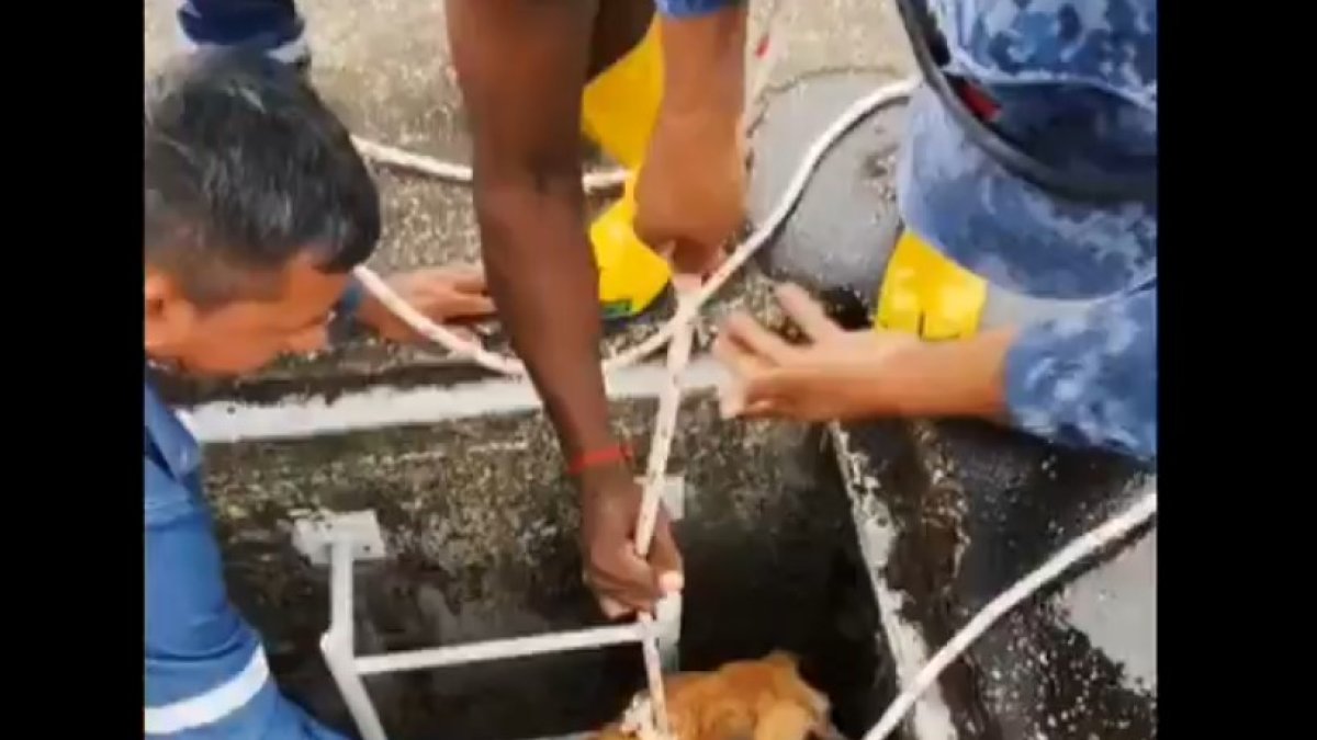 Hecho. El suceso fue compartido en redes sociales.