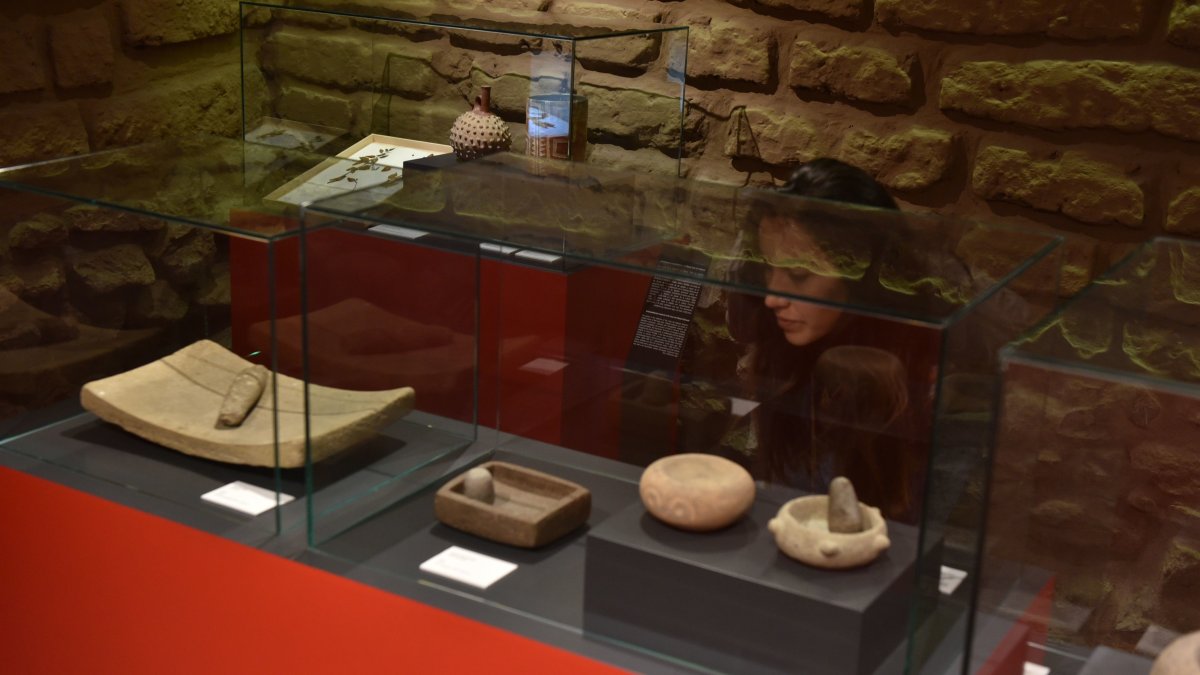 La muestra ‘Sabor y saber’ recoge un 20% de piezas andinas, 10 % Amazonía y 70% costeñas. 156 piezas arqueológicas, 11 textos históricos y 20 muestras botánicas conforman la exposición.