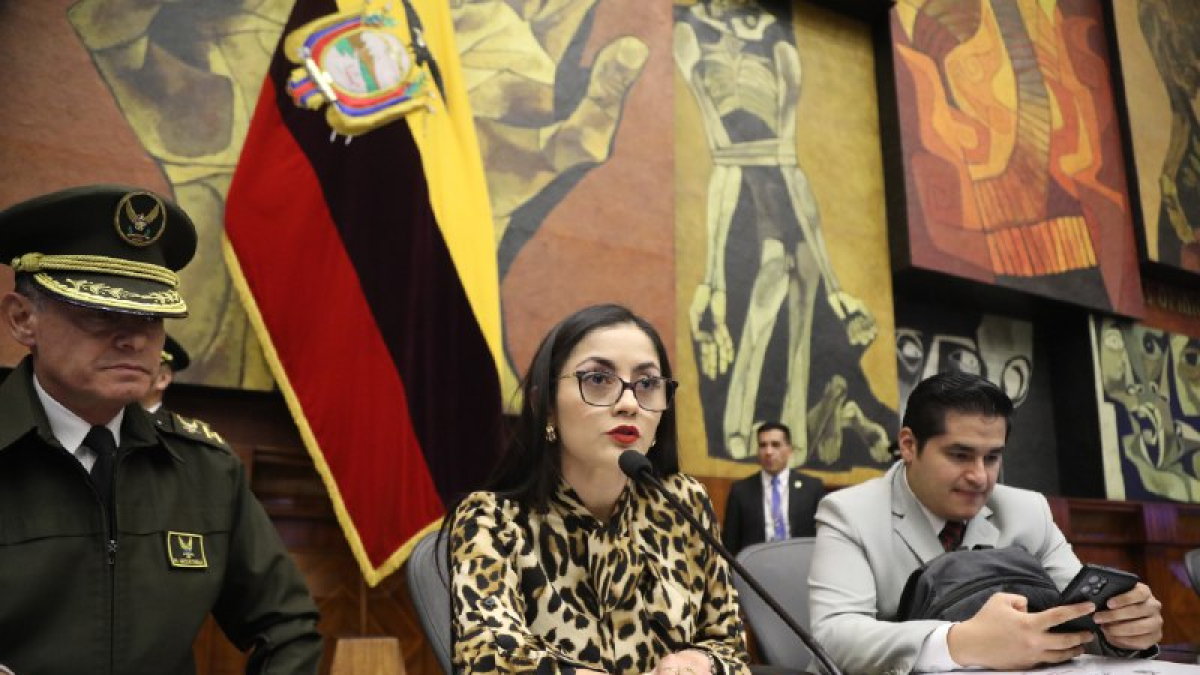 La presidenta del Pleno, Viviana Veloz, pidió retomar la sesión para abordar el pedido de Abad.