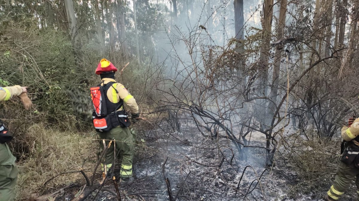 El incendio en el sector de la Granados fue controlado y sofocado.