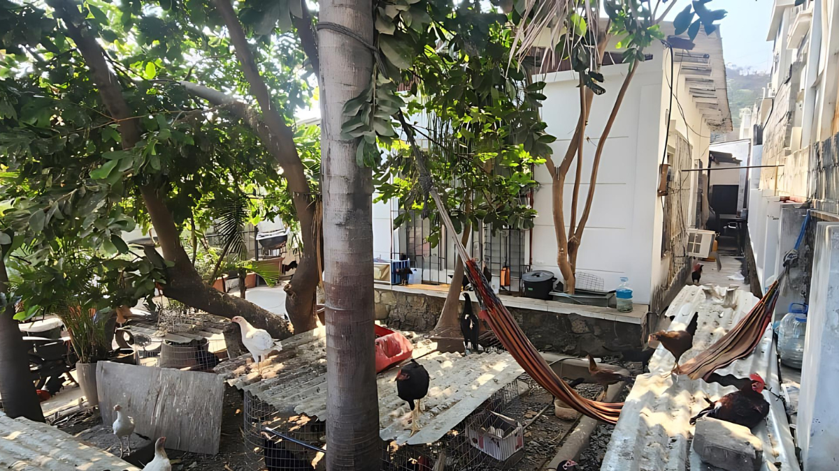 Operativo de Bienestar Animal en Los Ceibos.