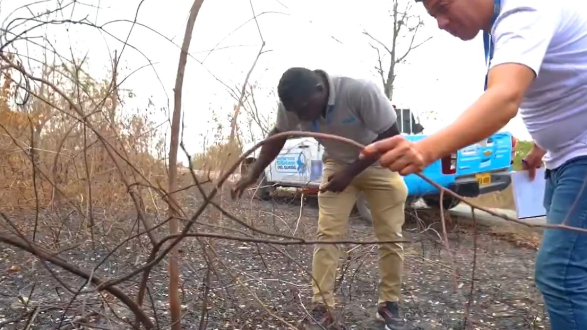 La situación fue informada por la Prefectura a través de redes sociales.