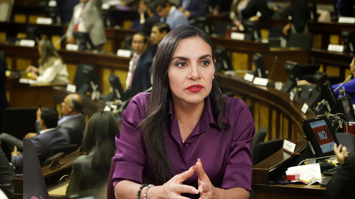 Verónica Abad comparece en la Asamblea Nacional.