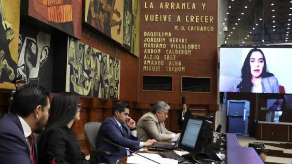 La vicepresidenta Verónica Abad fue escuchada, en comisión general, por la Asamblea.