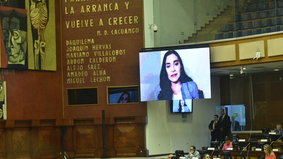 Verónica Abad, vía online, en la Asamblea Nacional.