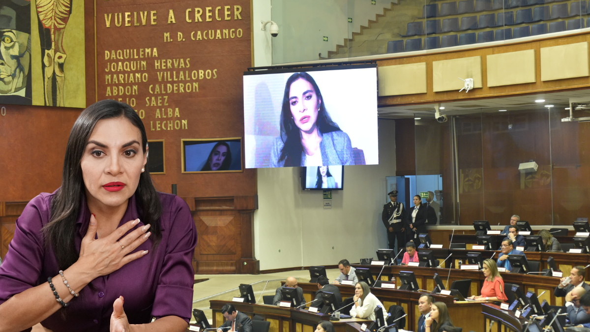 Verónica Abad habló con la Asamblea Nacional de forma telemática.