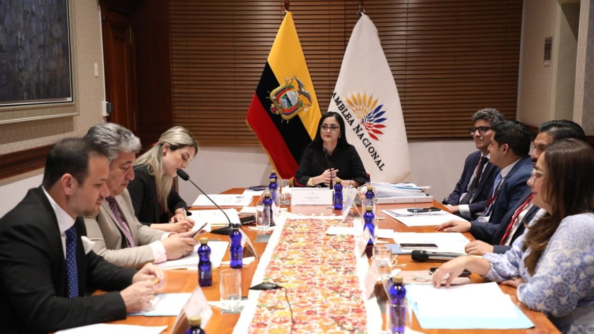 El Consejo de Administración Legislativa (CAL) es presidido por la titular de la Asamblea Nacional, la legisladora correísta Viviana Veloz.