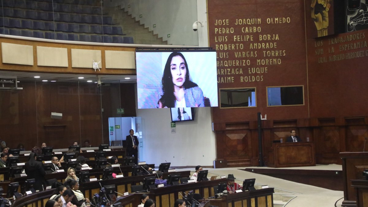 La vicepresidenta Verónica Abad fue recibida vía telemática en la Asamblea Nacional.