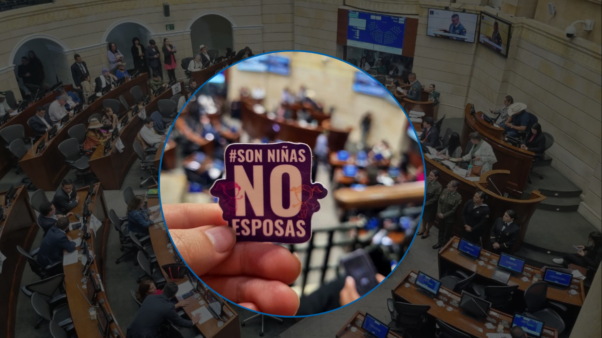 El proyecto fue aprobado luego de ocho intentos; se convertirá en ley con la firma de Gustavo Petro.