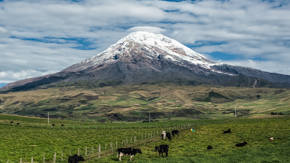 Ecuador es un país biodiverso.