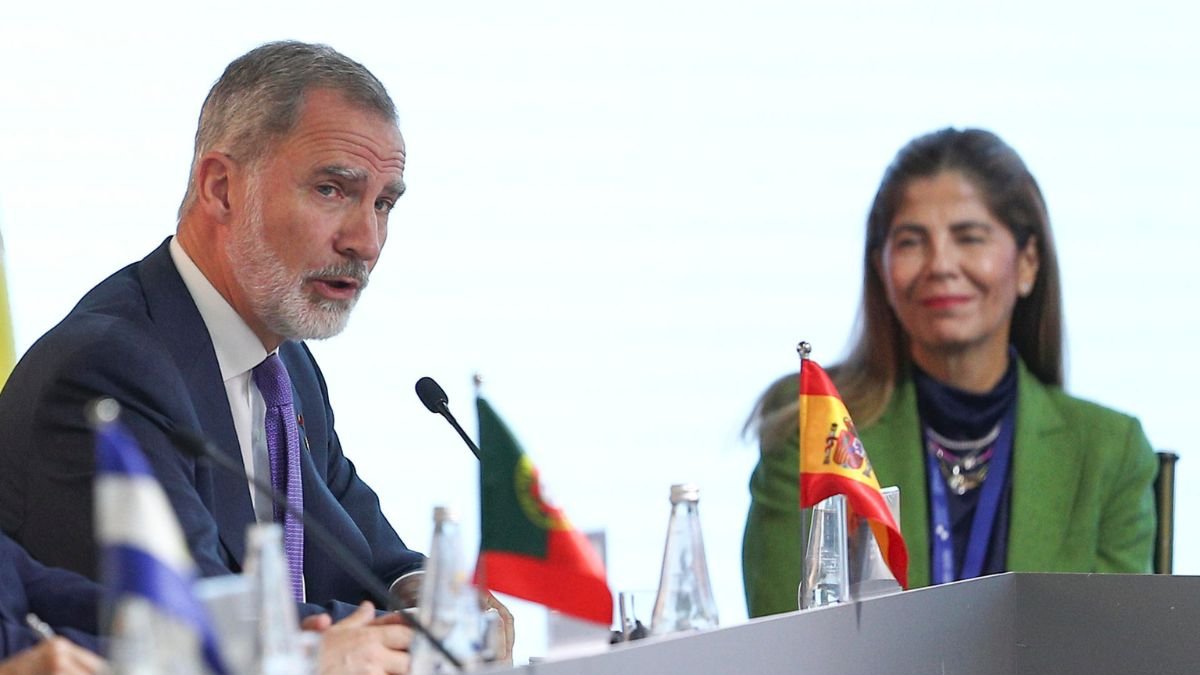 El rey Felipe VI habla en la sesión plenaria de la XXIX Cumbre Iberoamericana este viernes, en el museo Pumapungo en Cuenca (Ecuador).