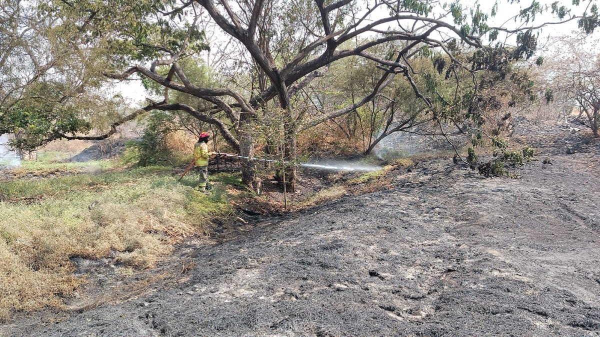 Espacios calcinados en la zona. Bomberos están extinguiendo la novedad.