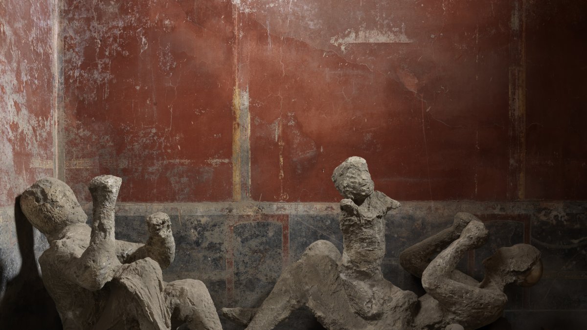 Un grupo de cuatro personas, dos de ellas niños, de las víctimas de Pompeya. Crédito: Archeological Park of Pompeii