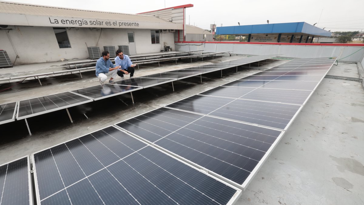 Los paneles solares se han convertido en una alternativa frente a la crisis energética.