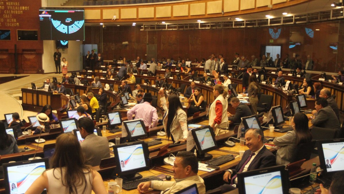 En febrero de 2025, el país elegirá a los políticos que conformarán el nuevo Pleno de la Asamblea Nacional.