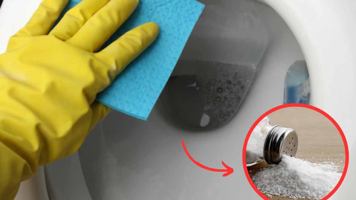 Limpiar el baño es una tarea indispensable que debe hacerse con cuidado absoluto.