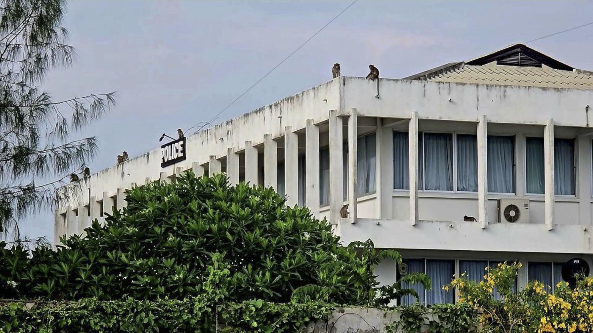 Tras la fuga la noche del sábado, los oficiales tuvieron que apresurarse a cerrar puertas y ventanas para evitar que los monos entraran en el edificio.