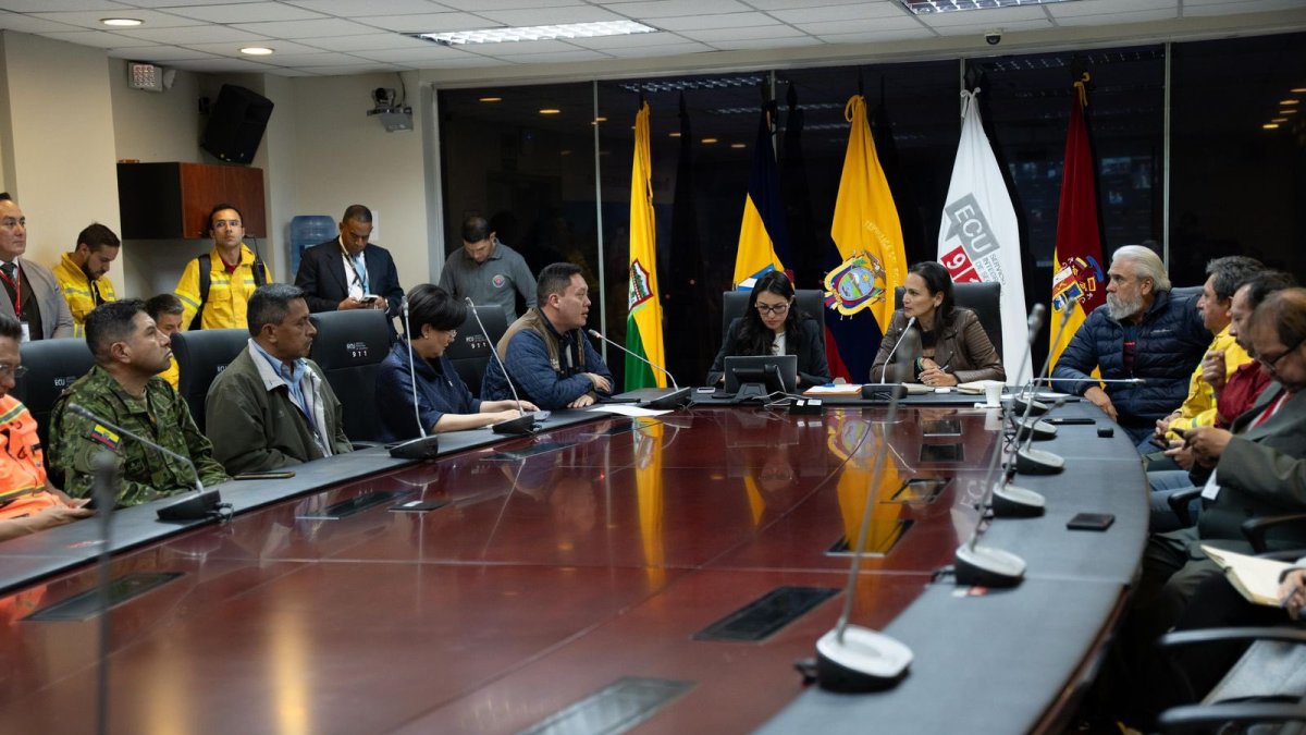 El COE solicitó la declaratoria el 15 de noviembre de 2024.