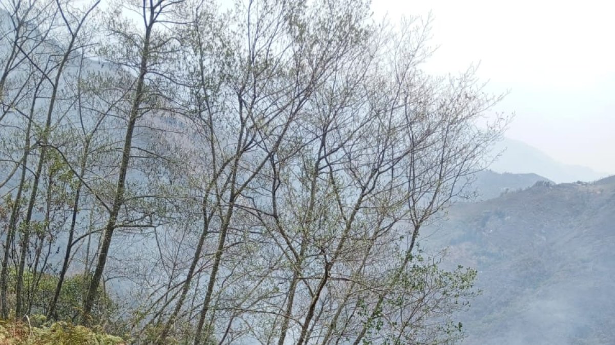 Loja. Lleva días lidiando con los incendios, las pérdidas son grandes.