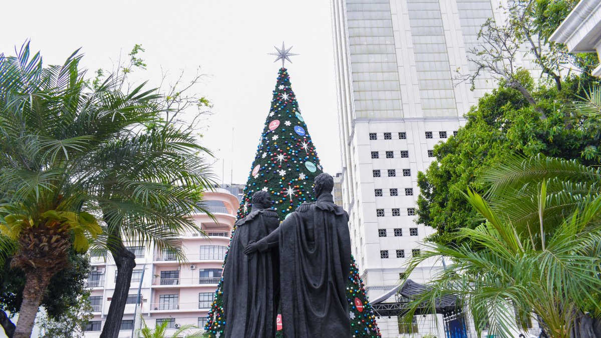 Con el encendido del tradicional árbol en el Malecón, la ciudad da por iniciadas las fiestas navideñas.