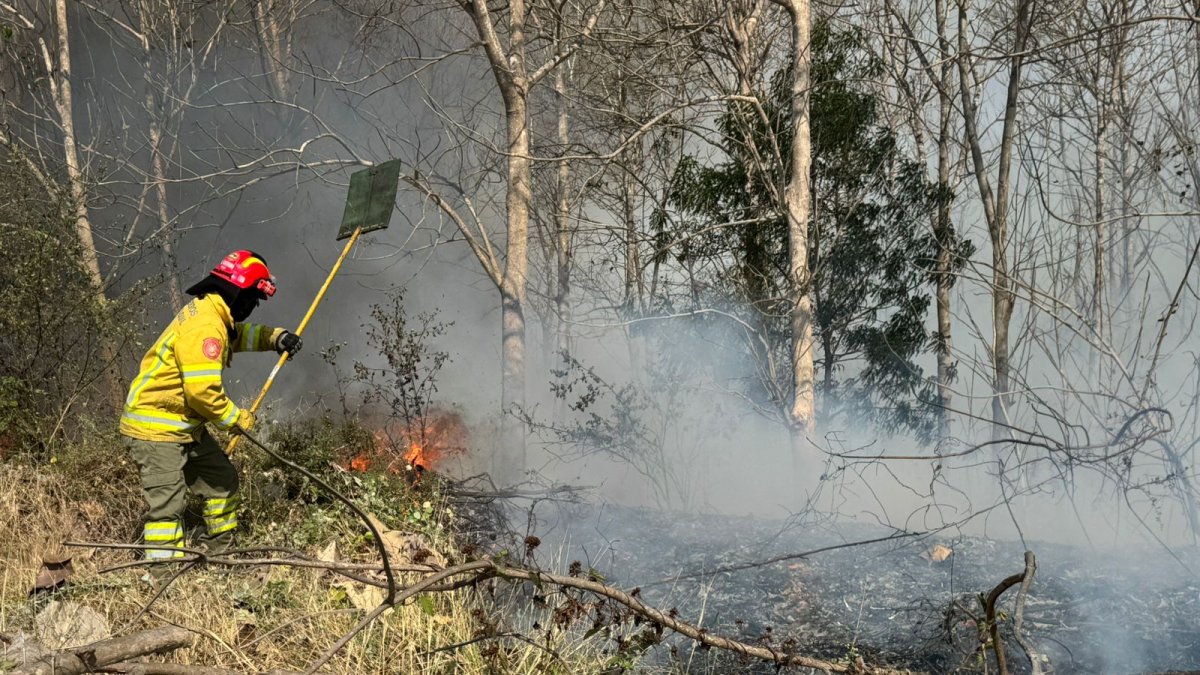 En lo que va de noviembre de 2024 se han registrado 144 incendios forestales.