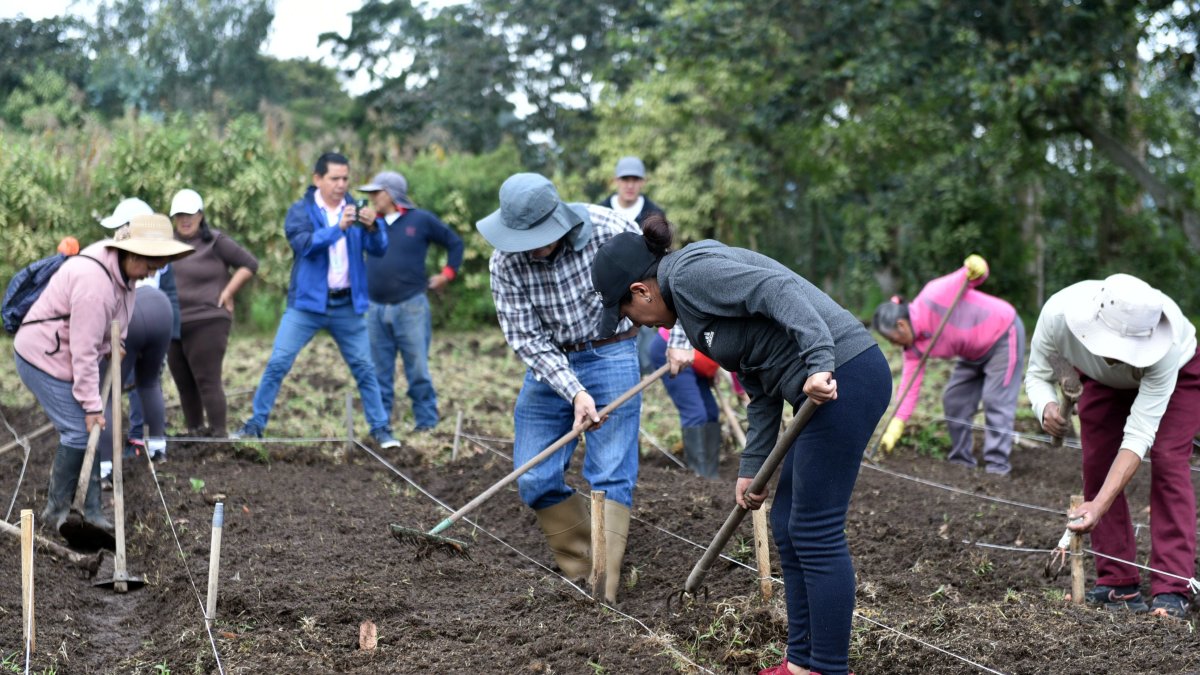 Cinco mil voluntarios participarán en mega mingas de la urbe el 23 y 24 de noviembre.