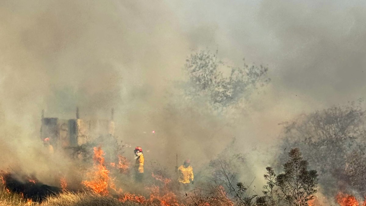 Un incendio forestal en el km 47 de la vía a la costa.