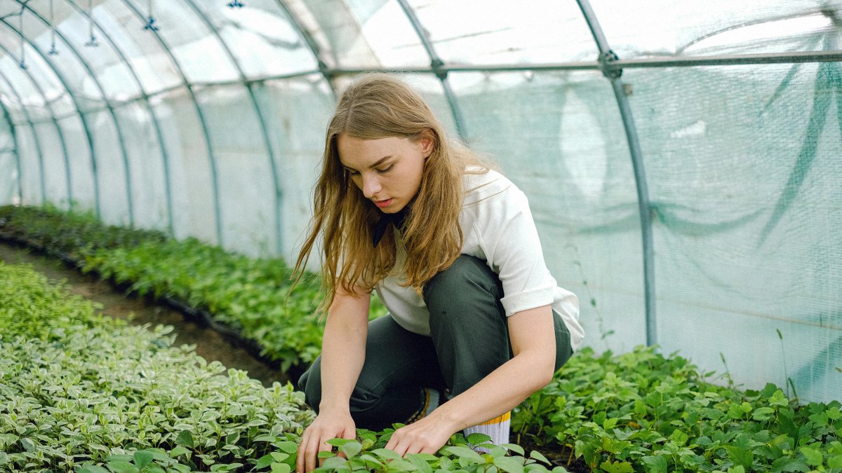 EcoCiencia desarrolla nuevas metodología, crea herramientas y sistematiza experiencias