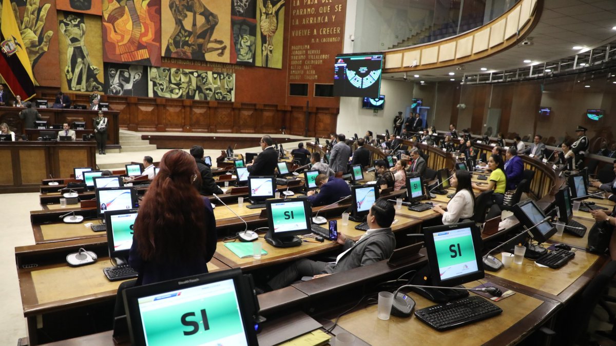 Proceso. En el pleno de la Asamblea Nacional se votó para emitiner un documento en el que se rechaza lo ocurrido en el sur del Ecuador.